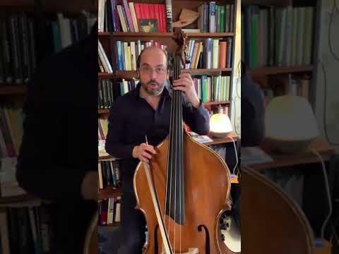 Scales system by Petru Iuga